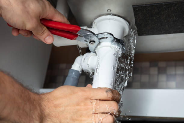 Best Mold removal after water damage  in Washington, MO