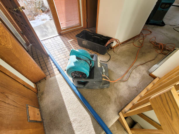 Best Local water damage restoration  in Washington, MO