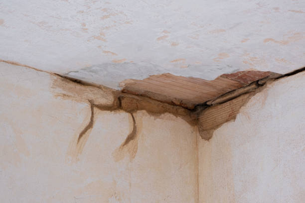 Best Commercial water damage restoration  in Washington, MO
