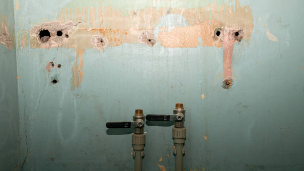 Best Water damage restoration mold remediation  in Washington, MO