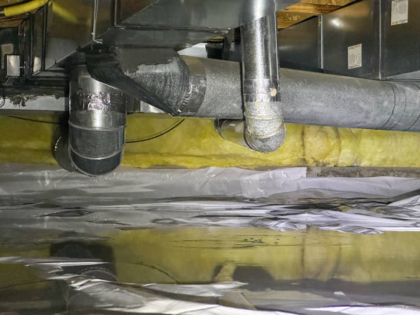Best Carpet water damage restoration  in Washington, MO