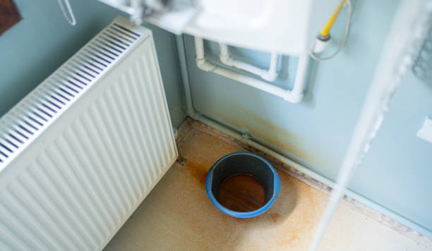 Best Flood damage cleanup  in Washington, MO