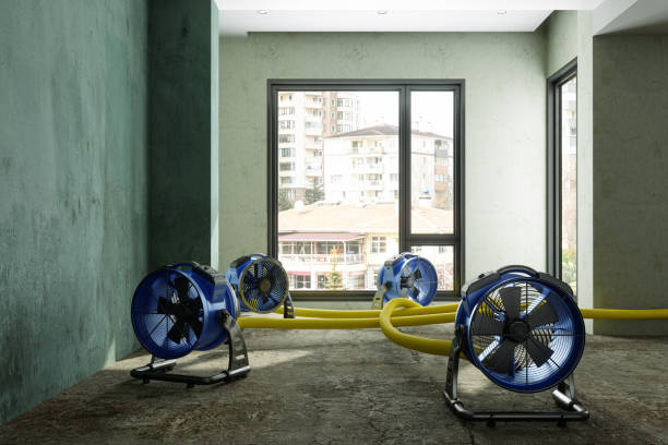 Best Water damage cleanup near me  in Washington, MO