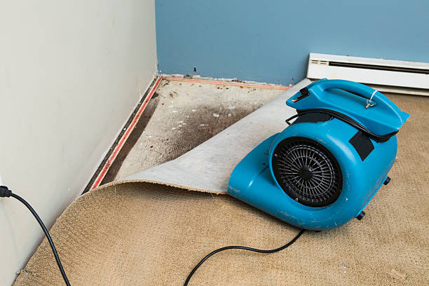 Best 24/7 water damage repair  in Washington, MO